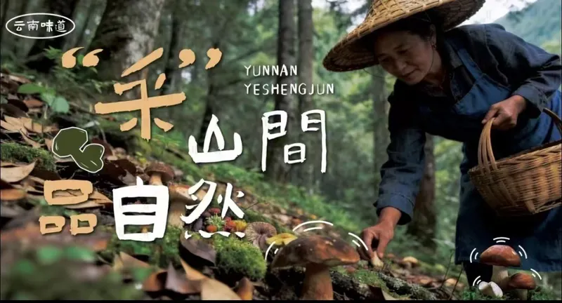云之南·菌菇焖肉拌饭 4